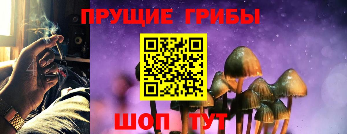 Курчатов  Галлюциногенные грибы Magic Shrooms  Вход с VPN 