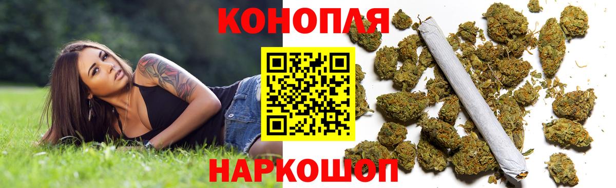 Каннабис OG Kush Курчатов